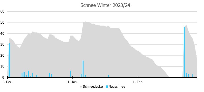 Schnee Winter.jpg