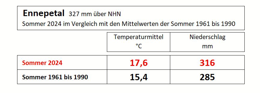 sommer 2024.JPG