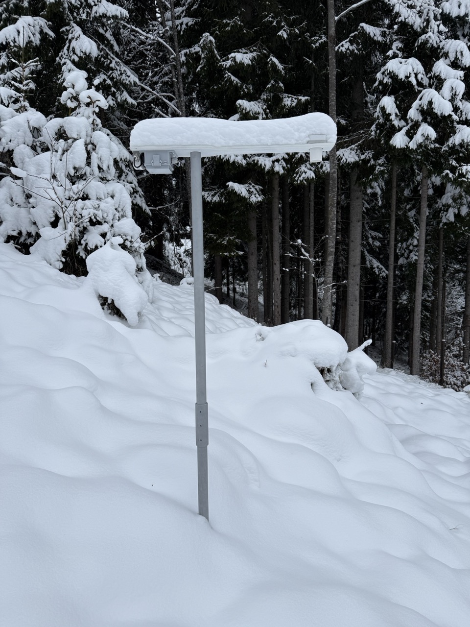 Groß (IMG_2792).jpeg