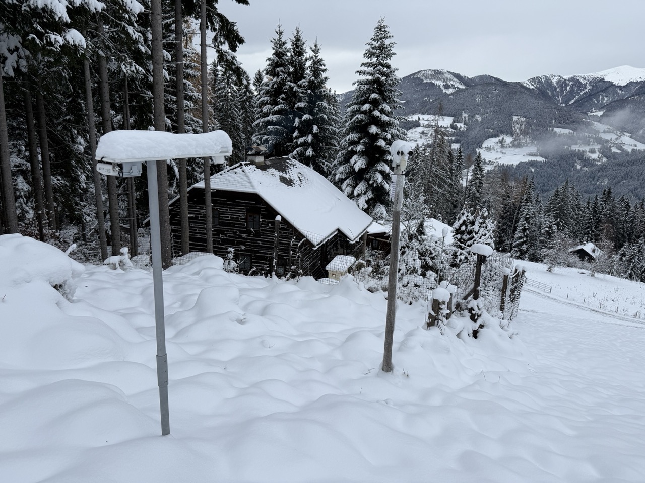 Groß (IMG_2791).jpeg