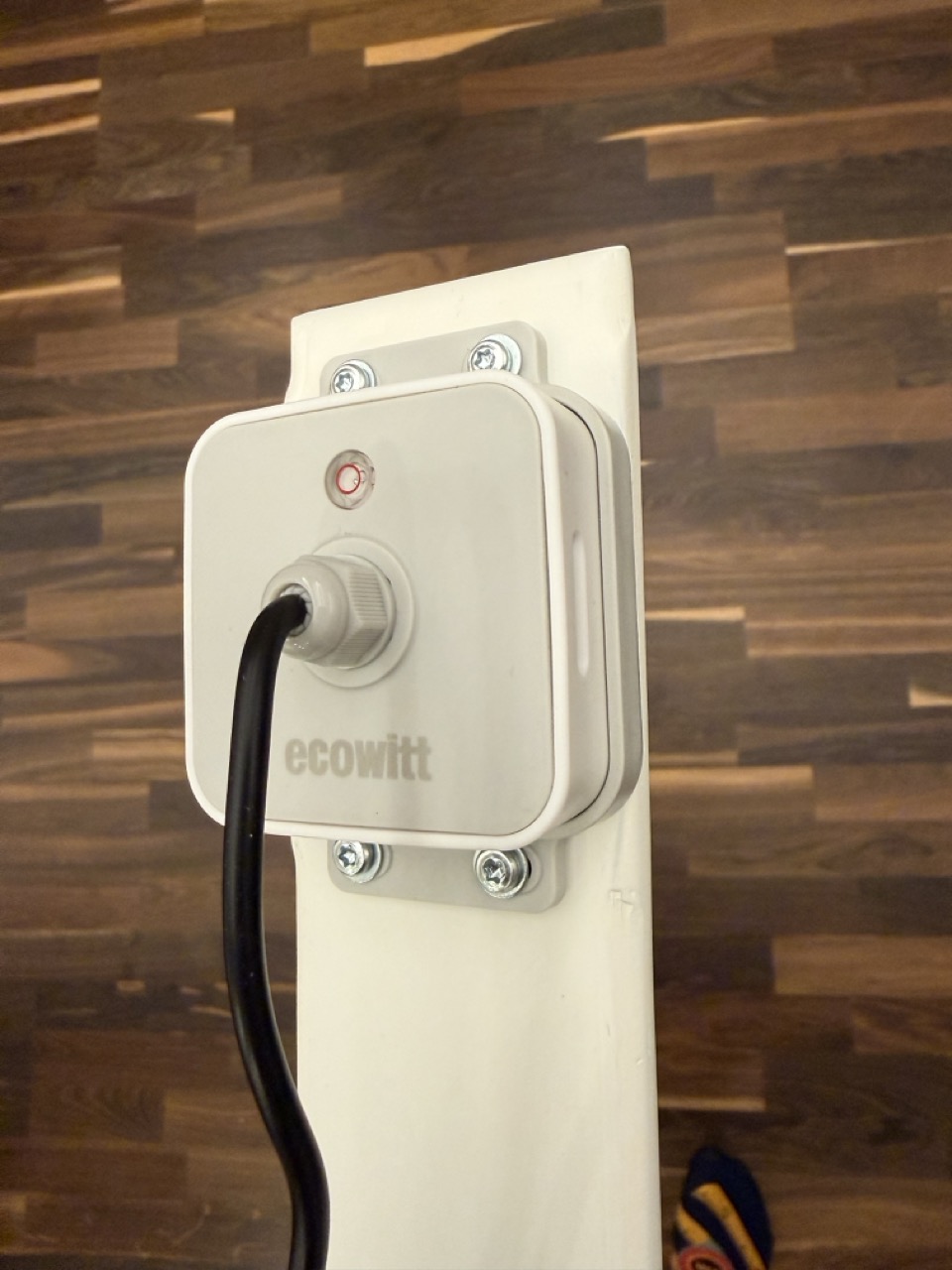 Groß (IMG_2762).jpeg