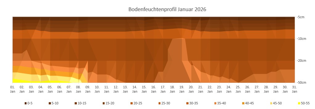 Bodenfeuchteprofil.jpg