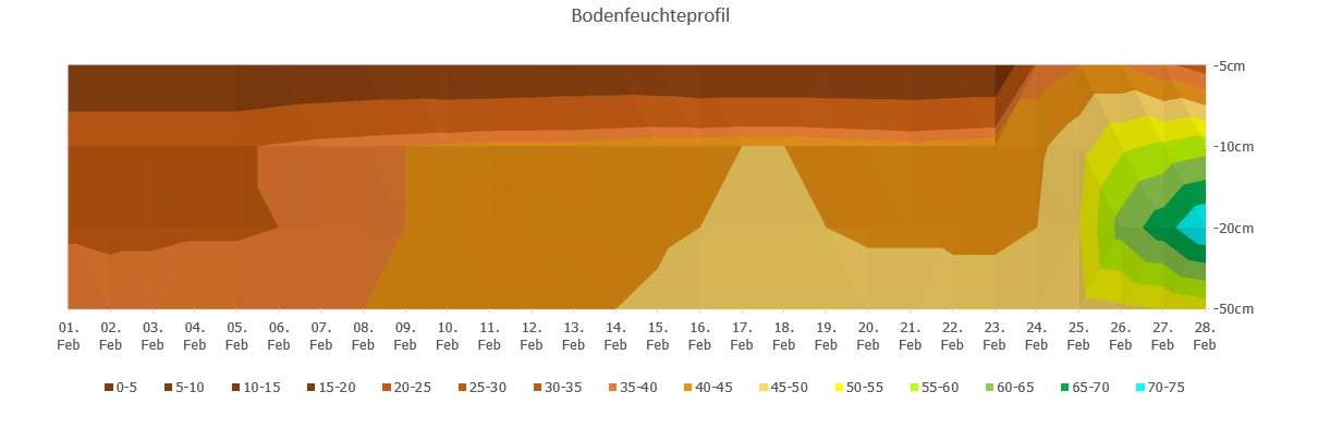 Bodenfeuchteprofil.jpg